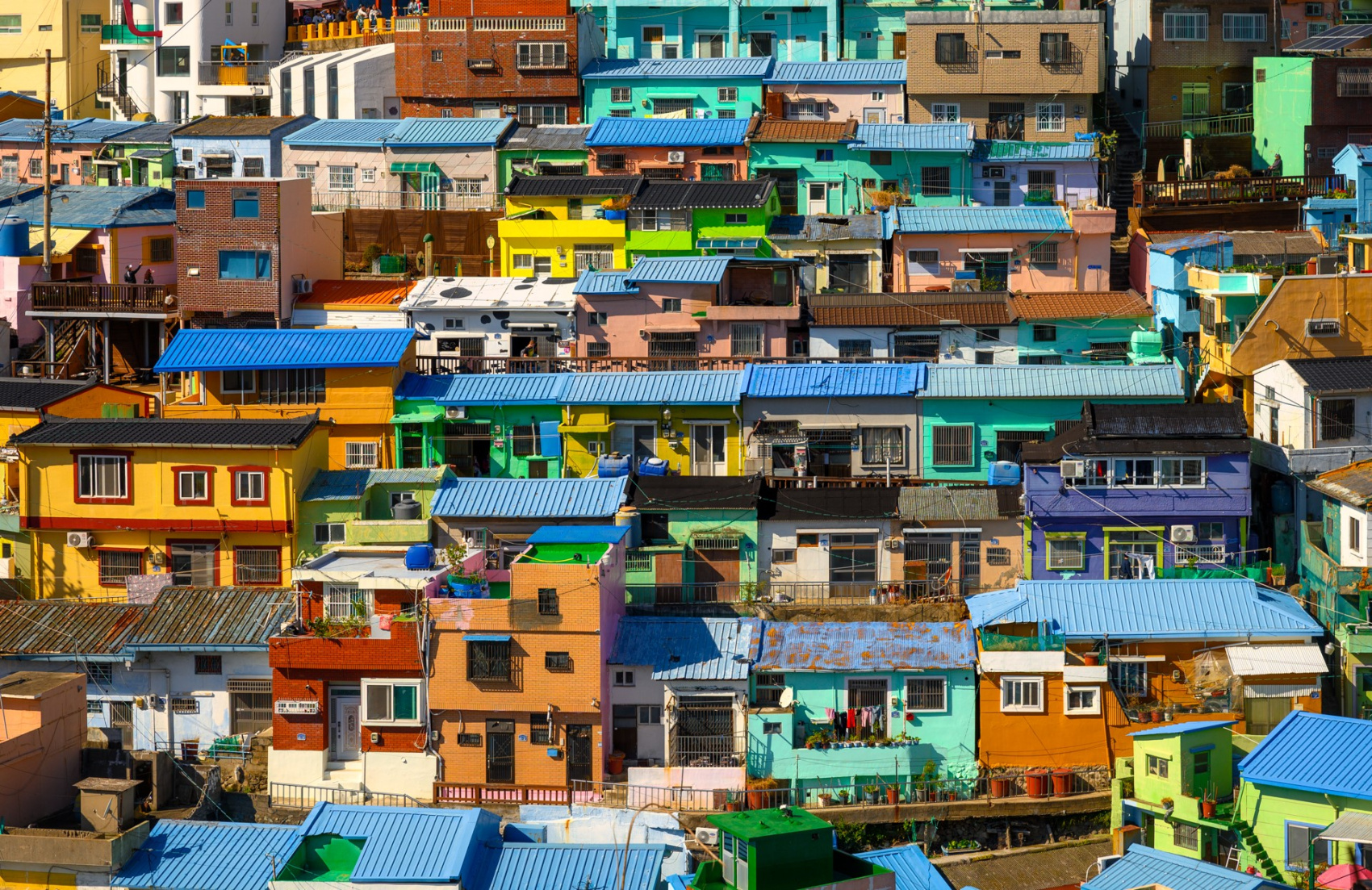 Красные клены и императорские дворцы (18/60)