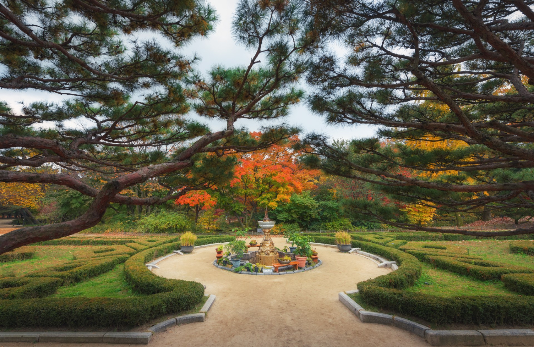 Красные клены и императорские дворцы (24/60)