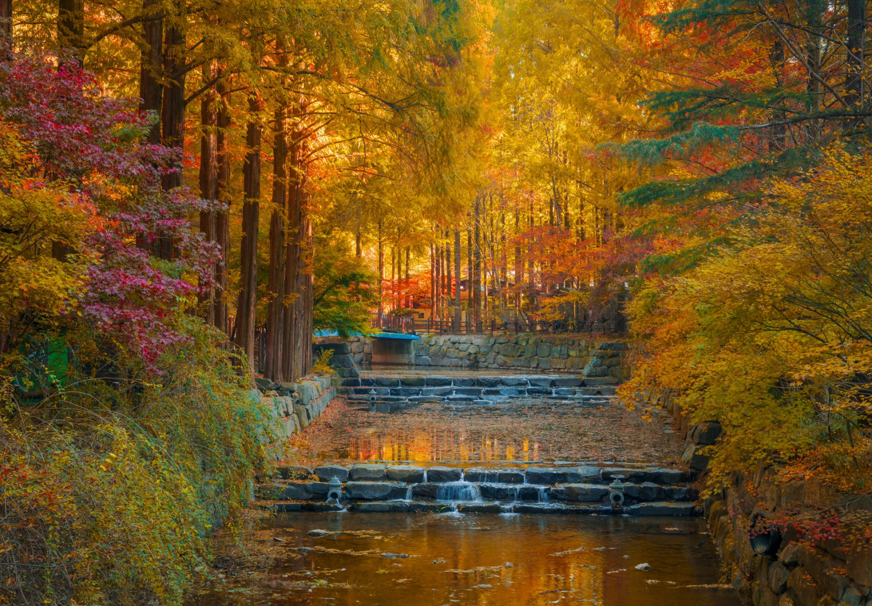 Красные клены и императорские дворцы (27/60)