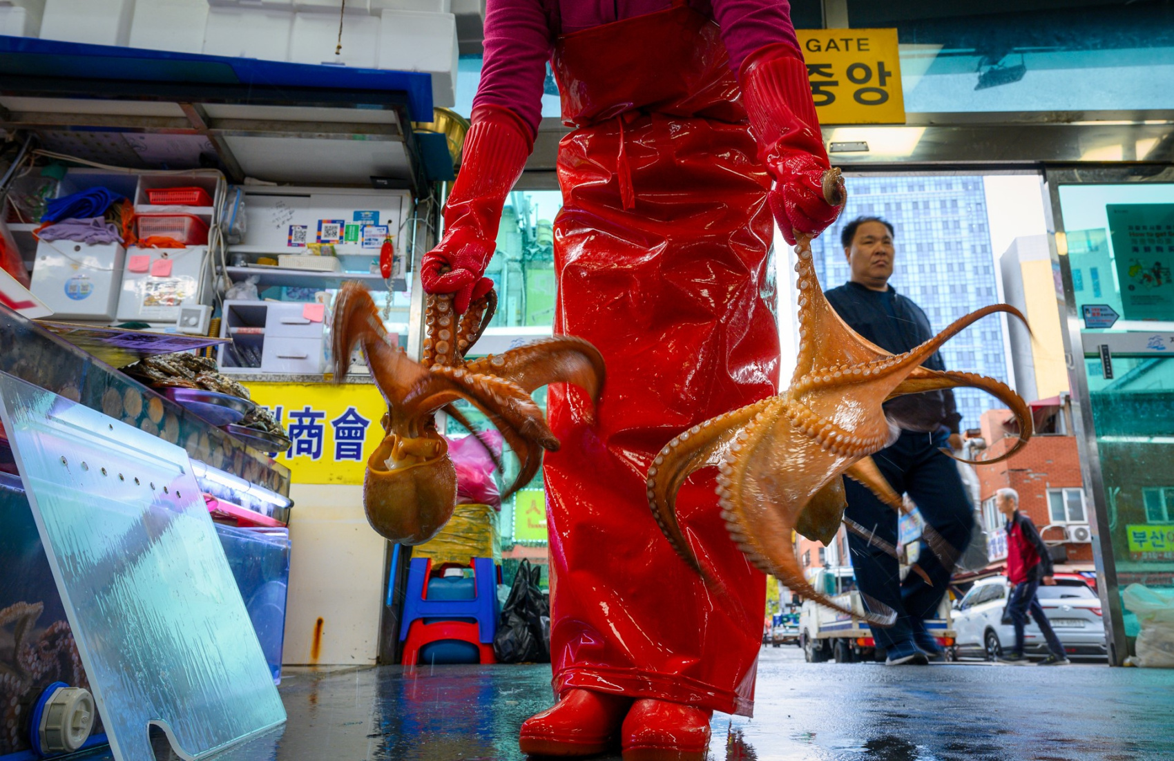 Красные клены и императорские дворцы (14/60)