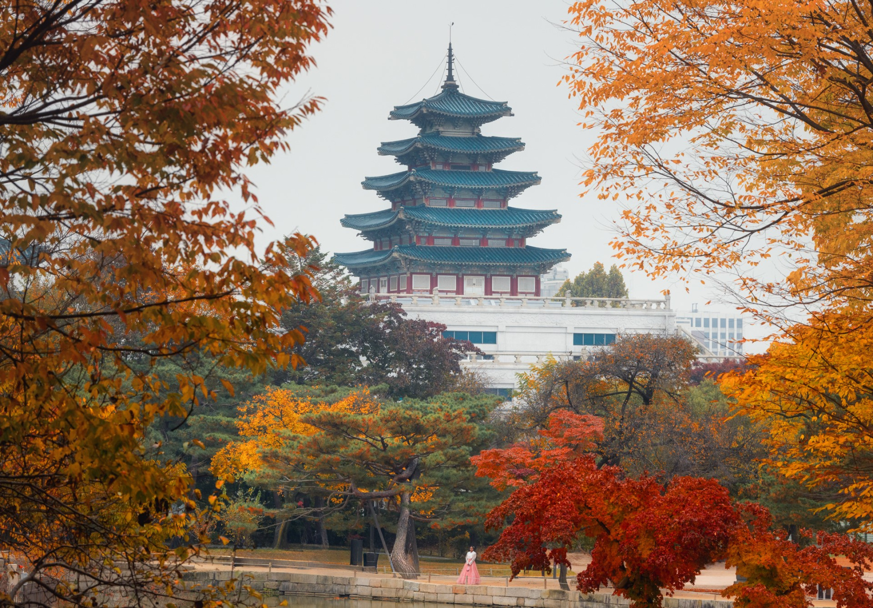 Красные клены и императорские дворцы (3/60)