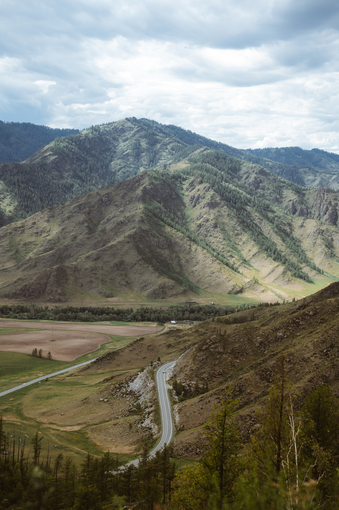 Золотое озеро Алтая (11/31)