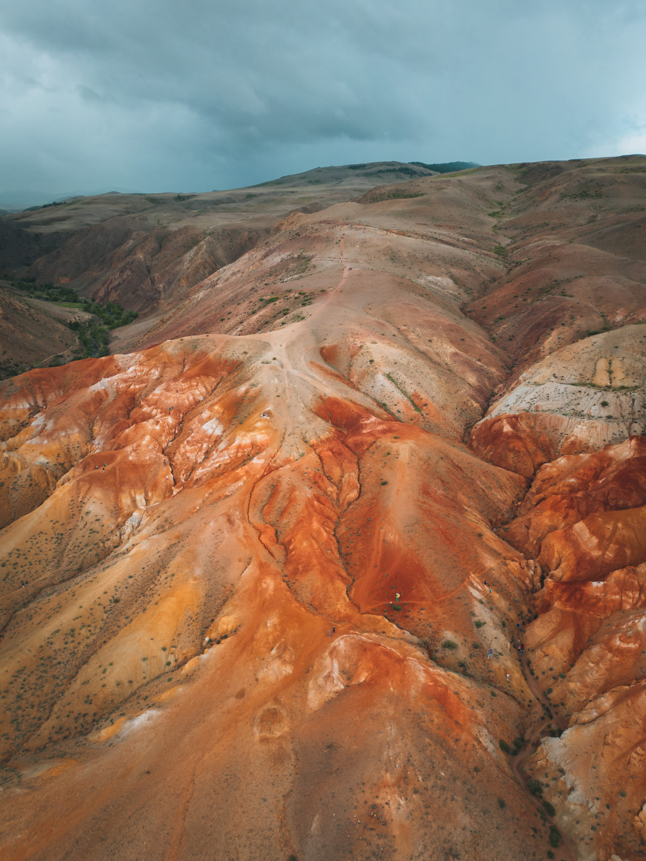 Золотое озеро Алтая (16/31)