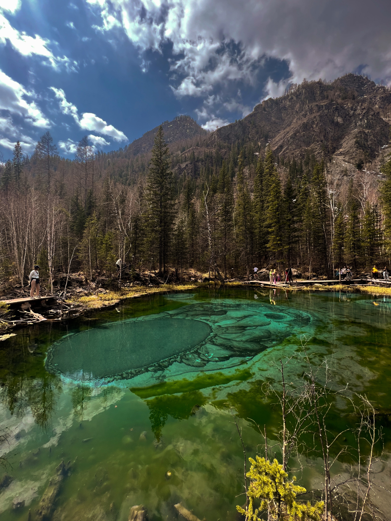 Золотое озеро Алтая (7/31)