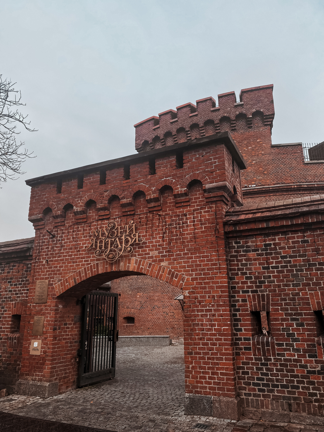Калининград:  дюны, замки и европейская архитектура (5/38)