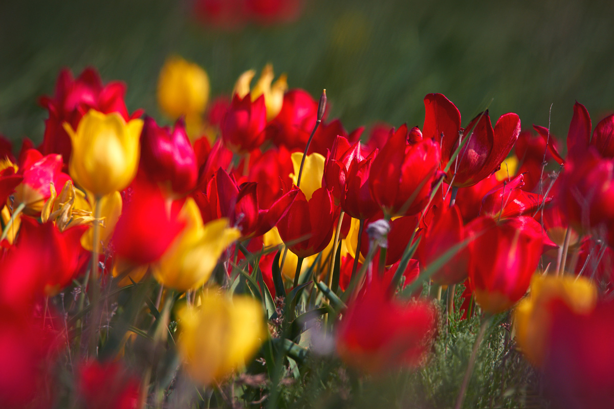 Тур на озера Эльтон и Баскунчак (33/51)