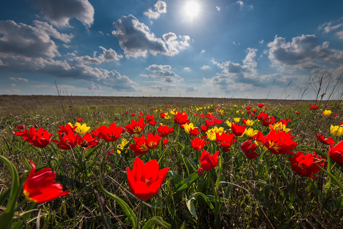 Тур на озера Эльтон и Баскунчак (13/51)