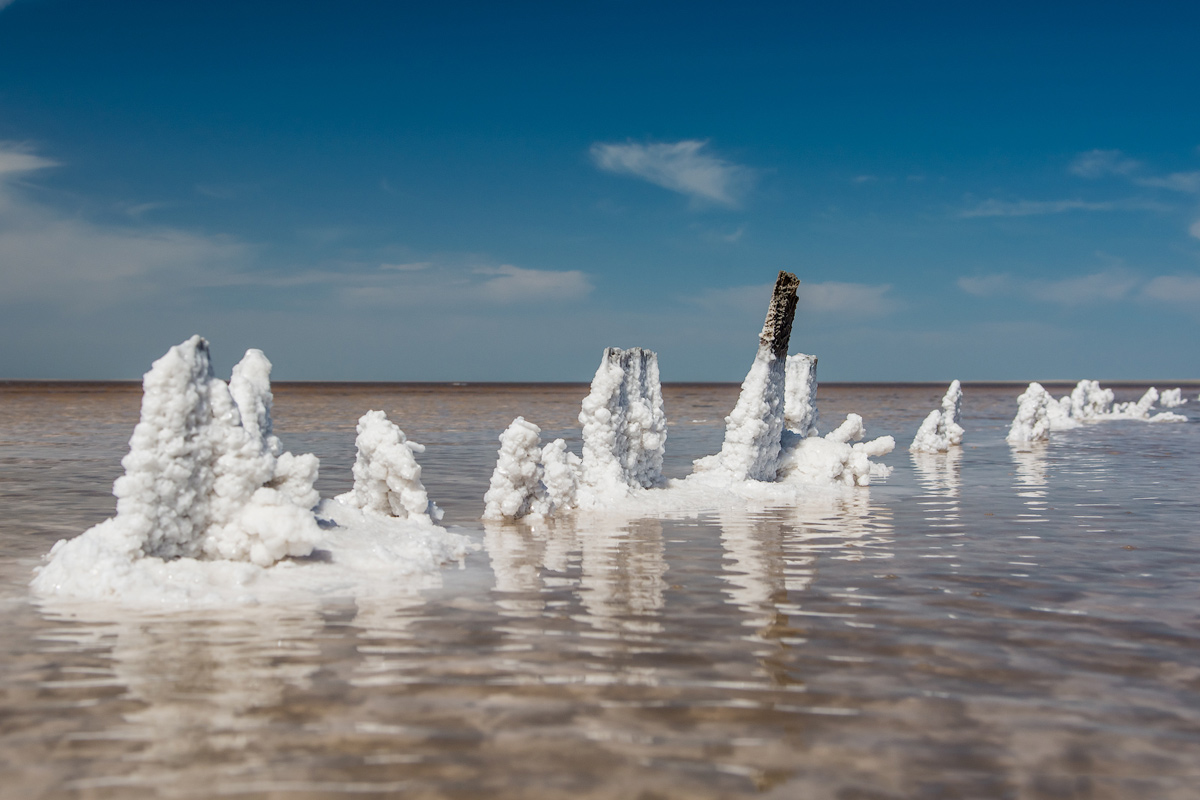 Тур на озера Эльтон и Баскунчак (24/51)