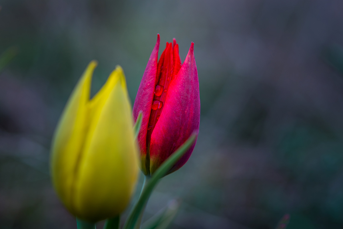 Тур на озера Эльтон и Баскунчак (32/51)