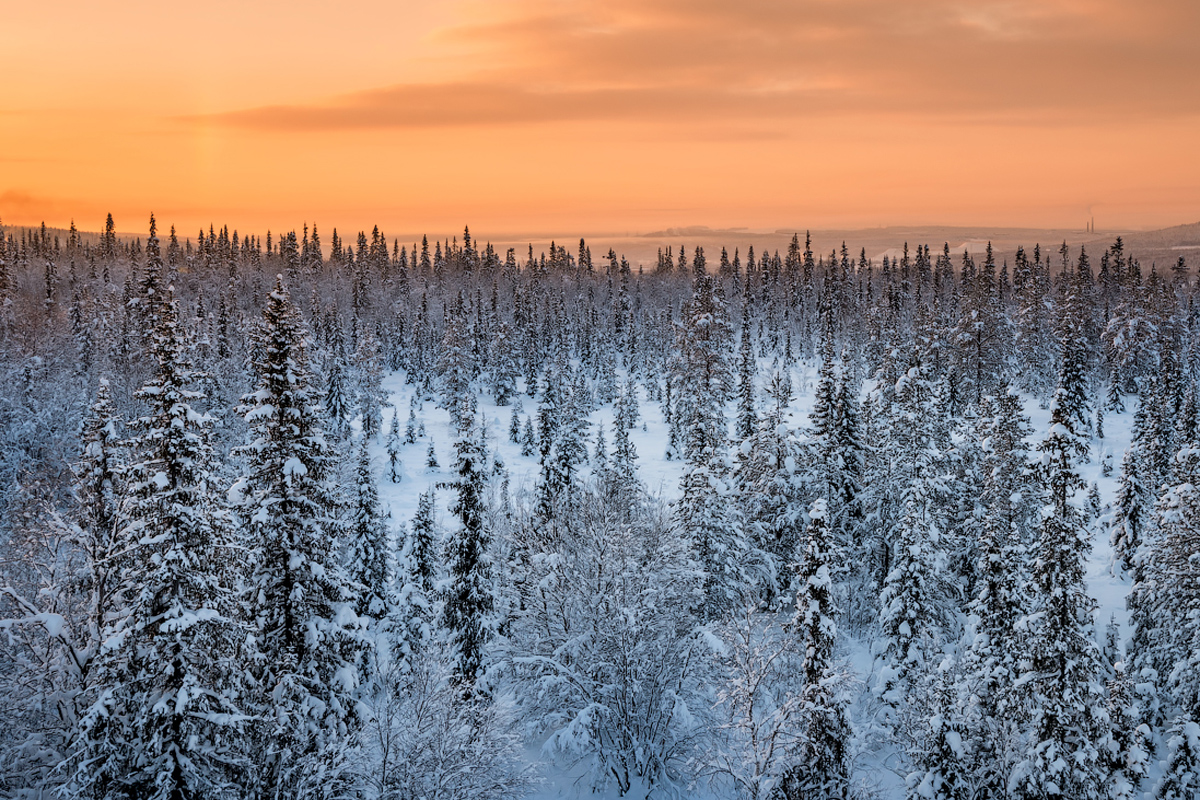 Тур в Мурманск на Новый год и Рождество (9/48)