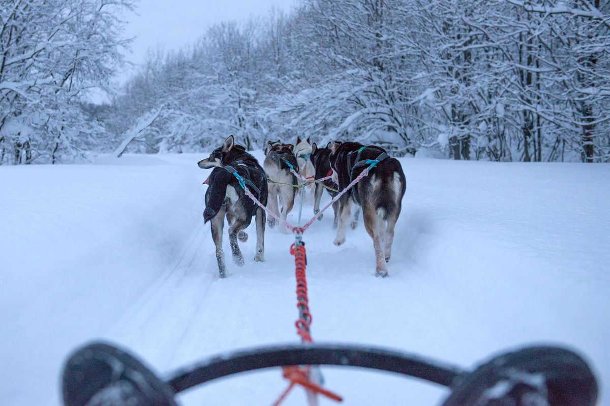 Тур в Мурманск на Новый год и Рождество (20/48)