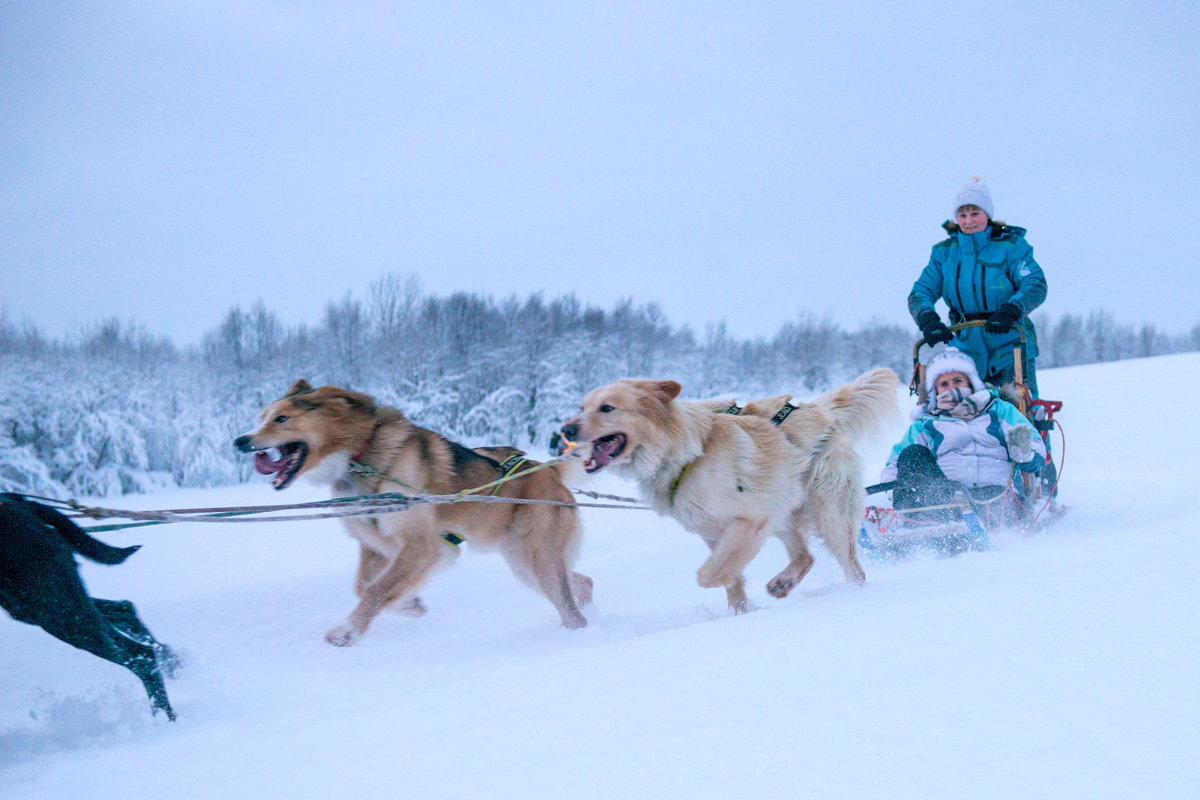 Тур в Мурманск на Новый год и Рождество (28/48)