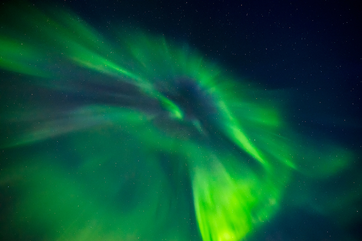 Тур в Мурманск на Новый год и Рождество (29/48)