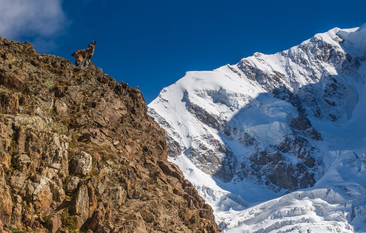 Горный лагерь в Безенги (9/11)