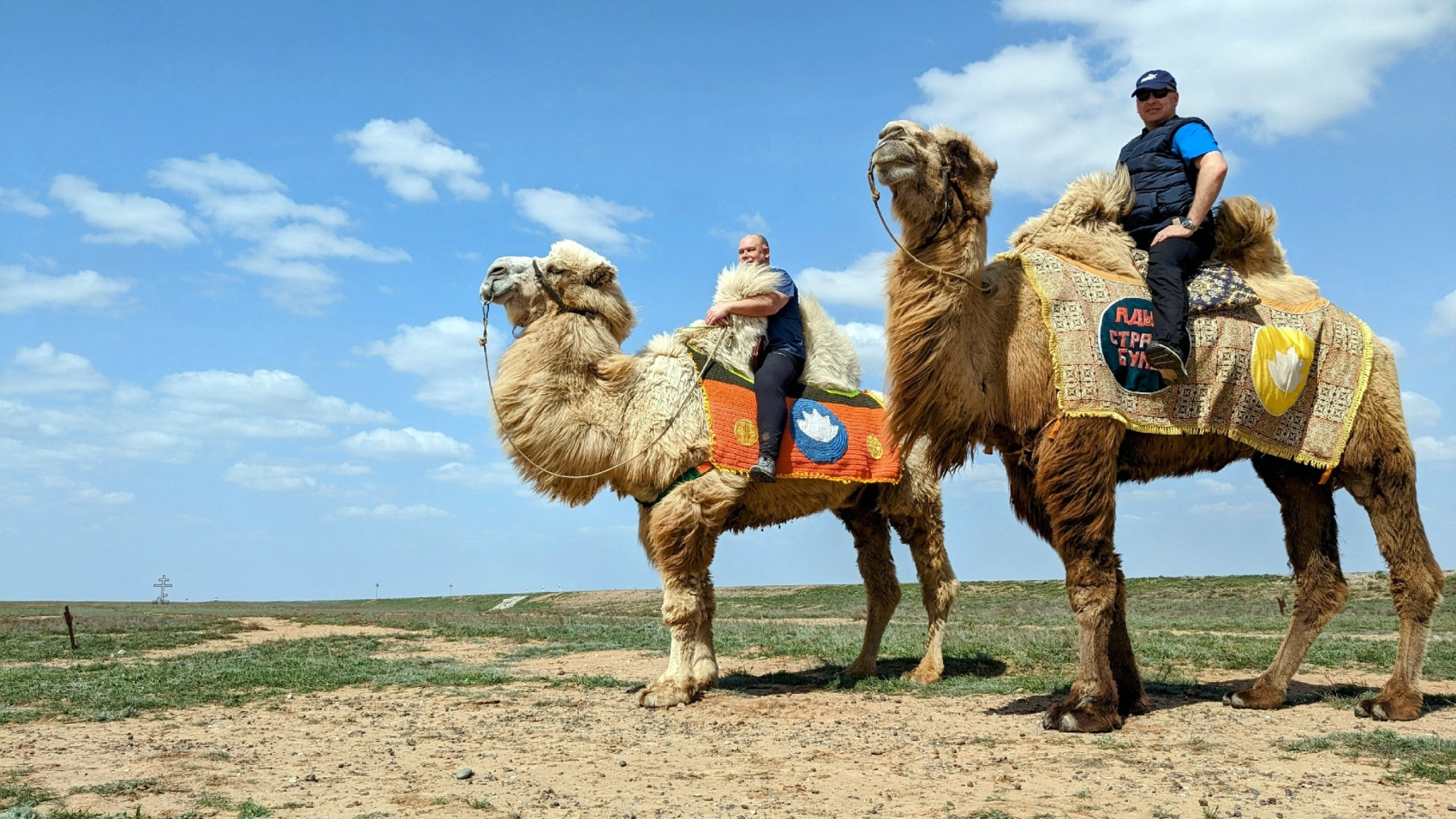 Калмыкия в пору цветения тюльпанов +  Волгоград (7/77)