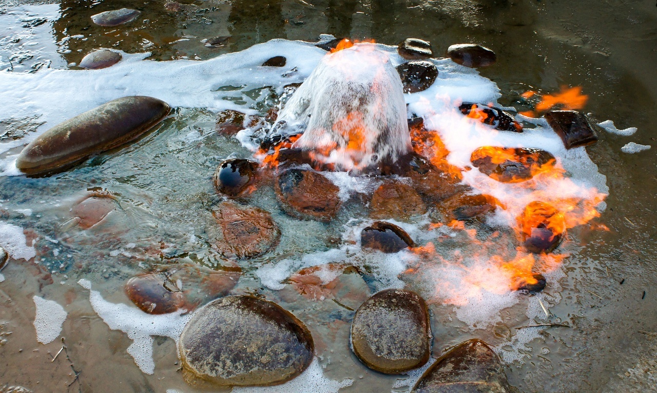 Калмыкия в пору цветения тюльпанов +  Волгоград (9/77)