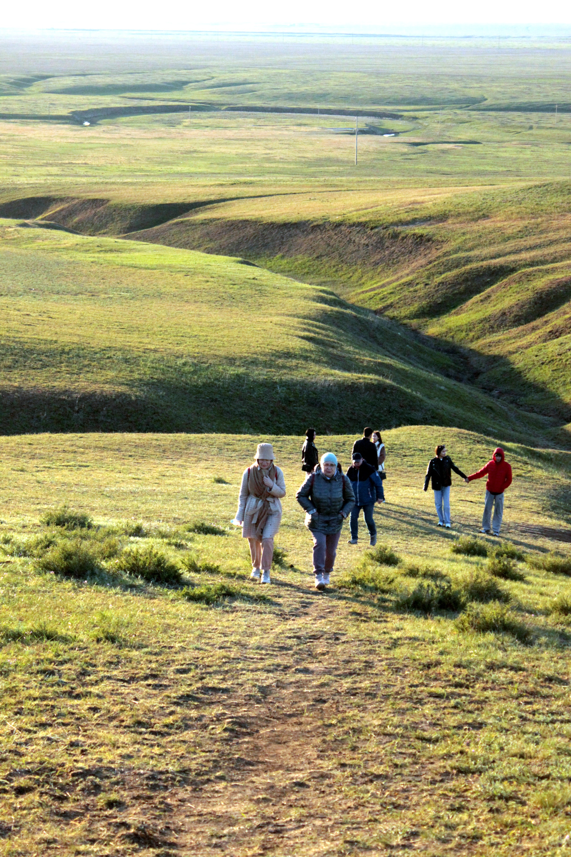 Калмыкия в пору цветения тюльпанов +  Волгоград (15/77)
