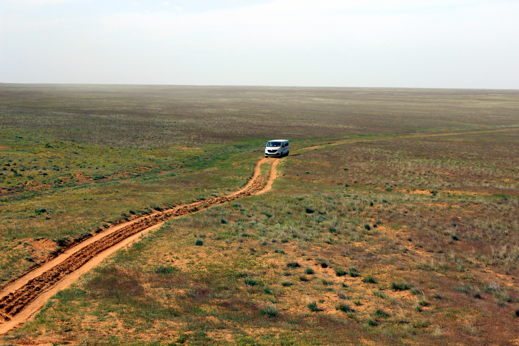 Калмыкия в пору цветения тюльпанов +  Волгоград (20/77)