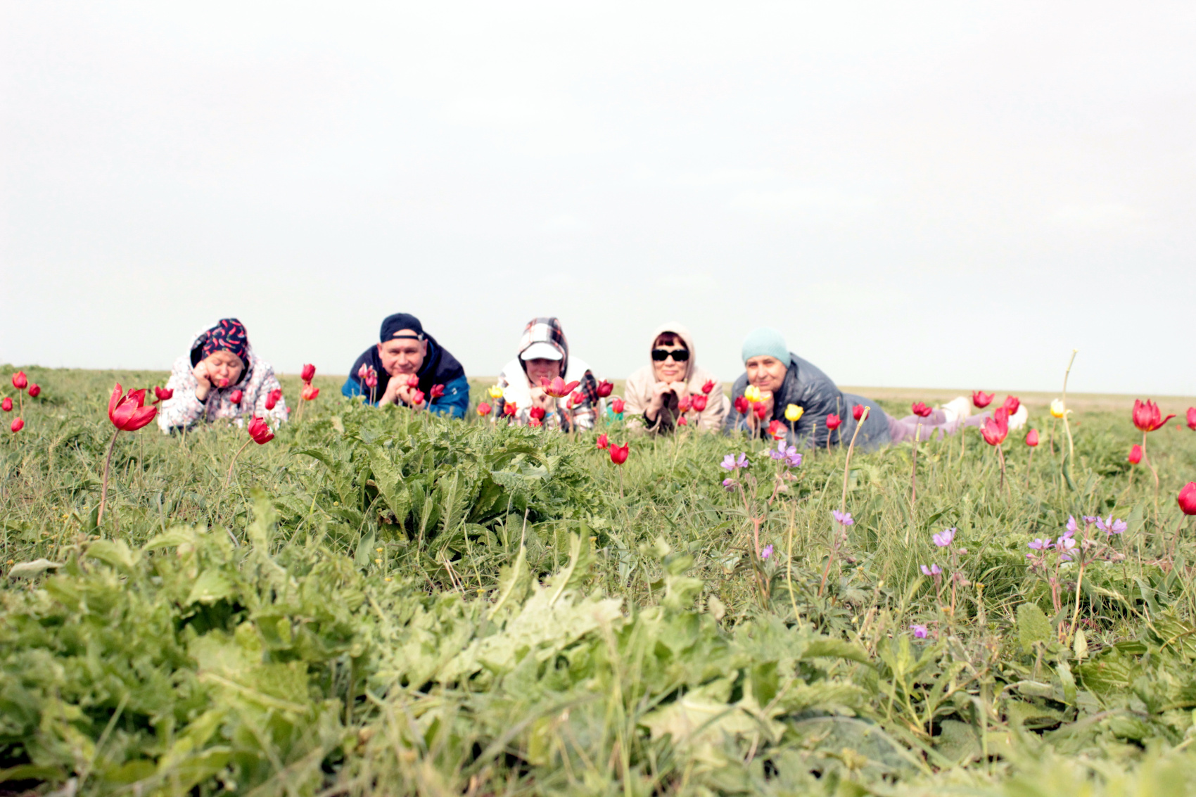 Калмыкия в пору цветения тюльпанов +  Волгоград (25/77)