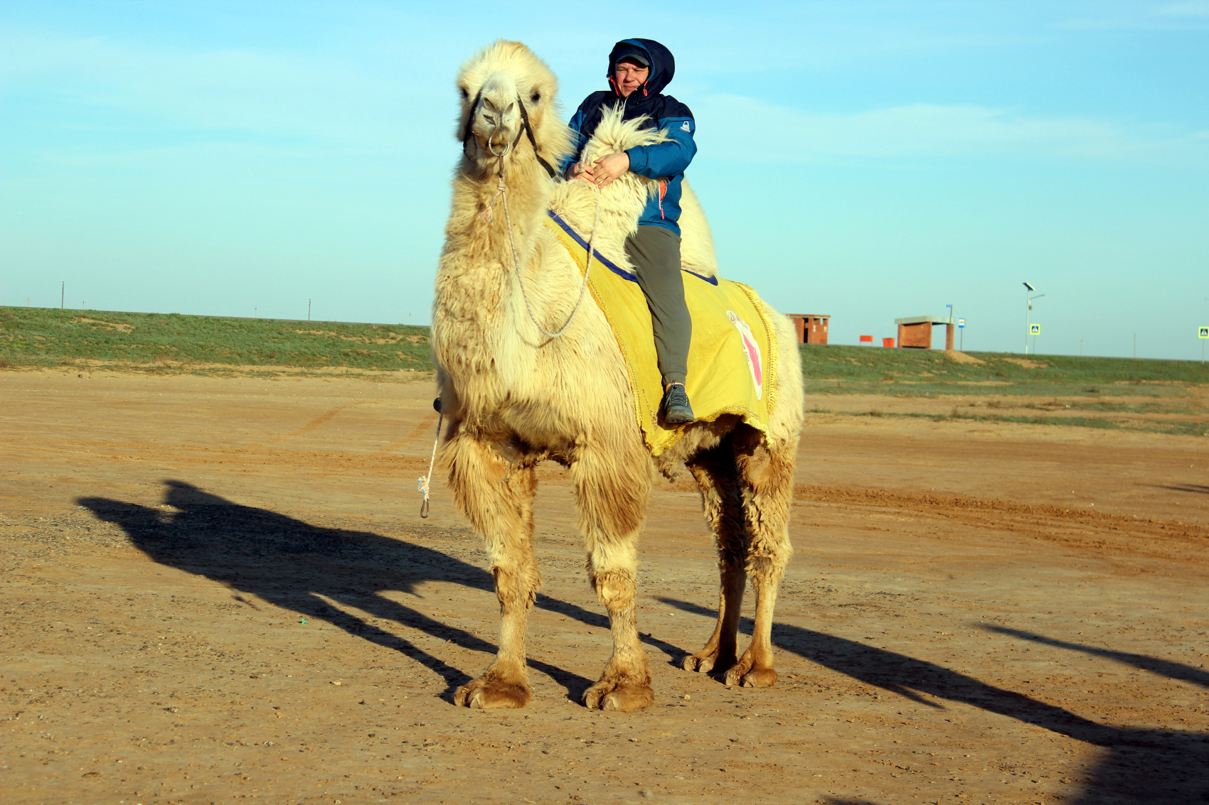 Калмыкия в пору цветения тюльпанов +  Волгоград (12/77)