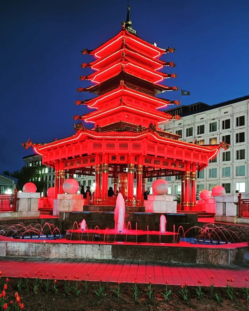 Калмыкия в пору цветения тюльпанов +  Волгоград (5/77)