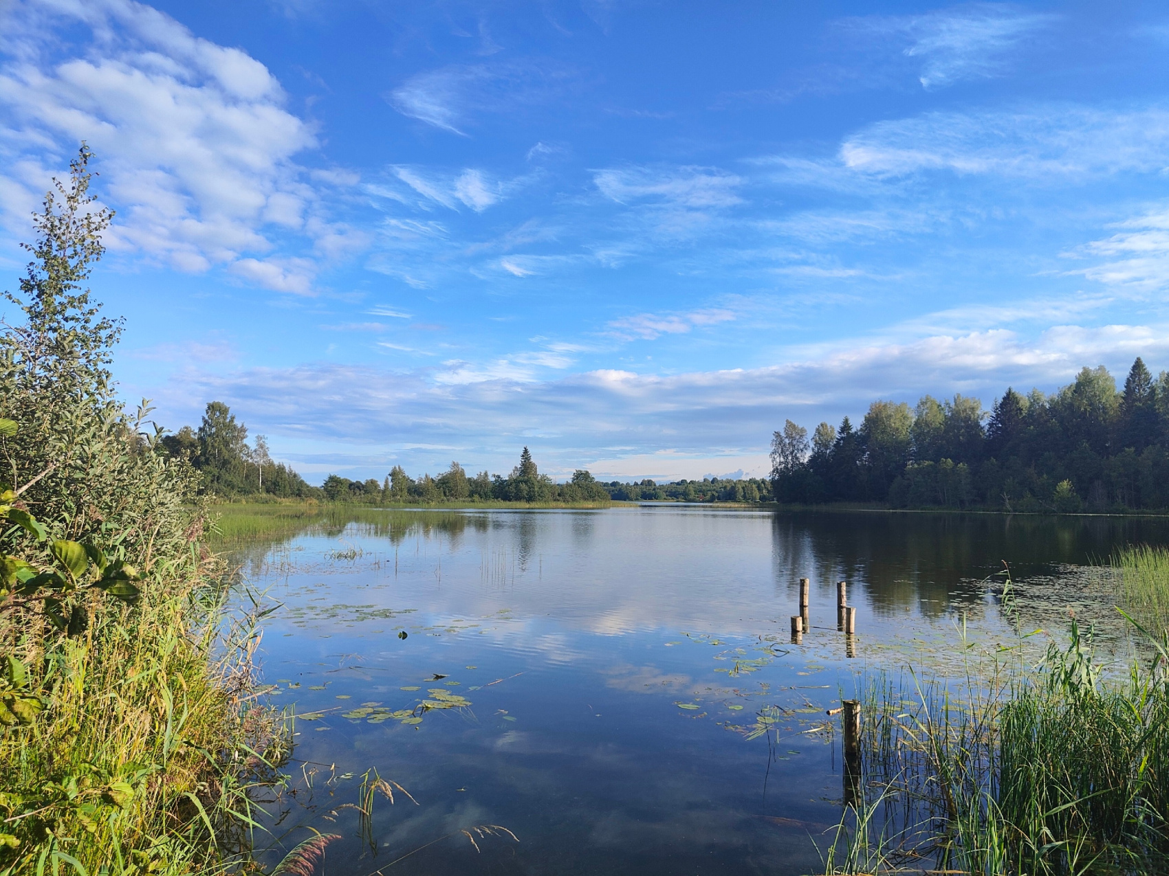Поход по Большой Валдайской тропе (3/20)