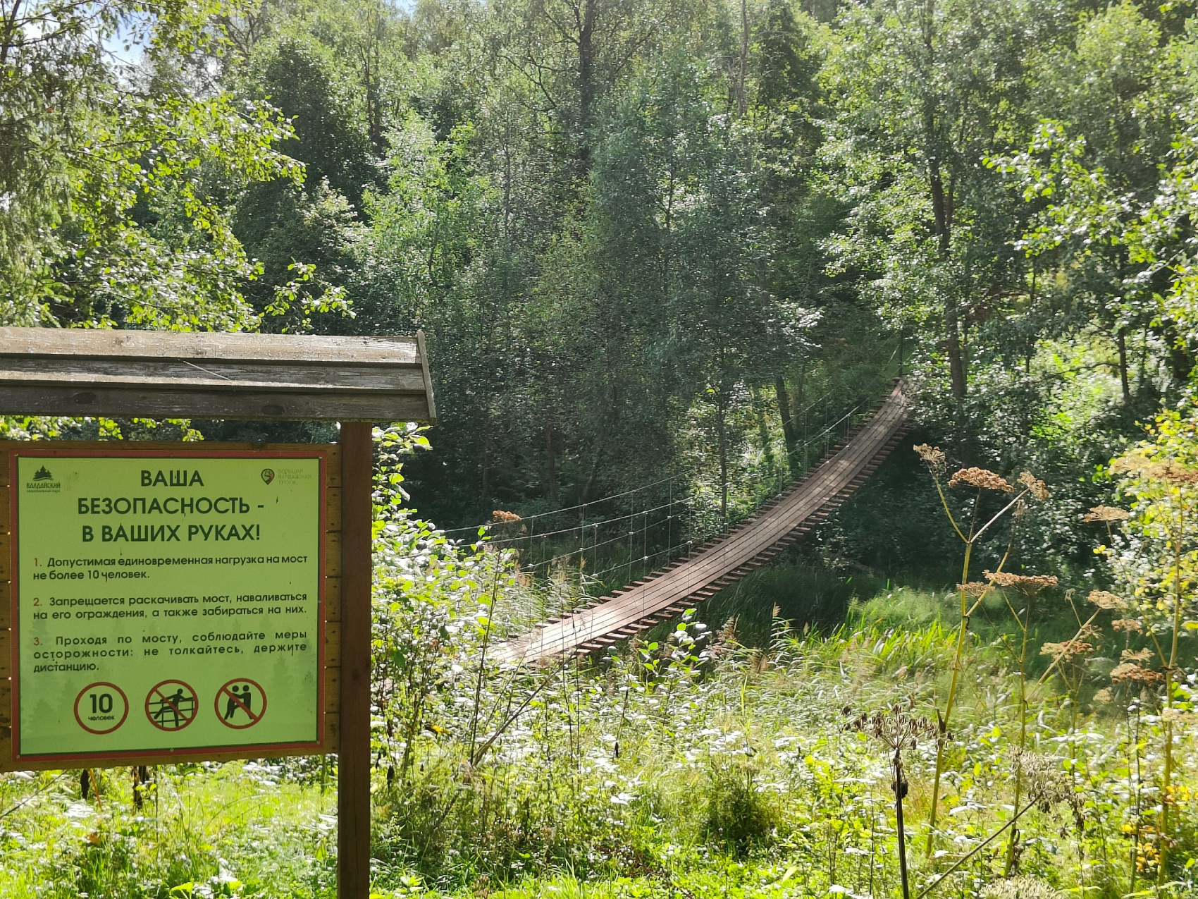 Поход по Большой Валдайской тропе (5/20)