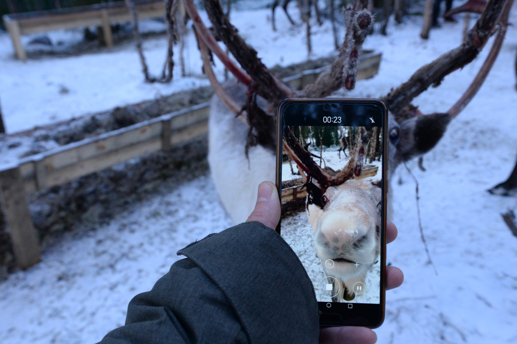 Охота за северным сиянием на Кольском полуострове (19/29)