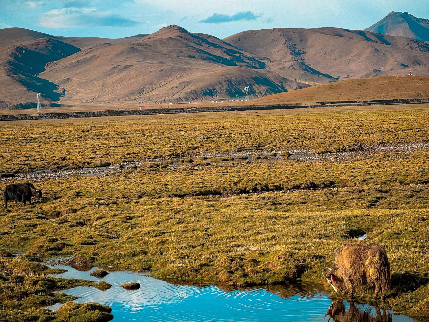 Тибет. Лхаса-Кайлаш. Тур с корой вокруг Кайлаша. Гид буддолог. Отели 4-5. (34/135)