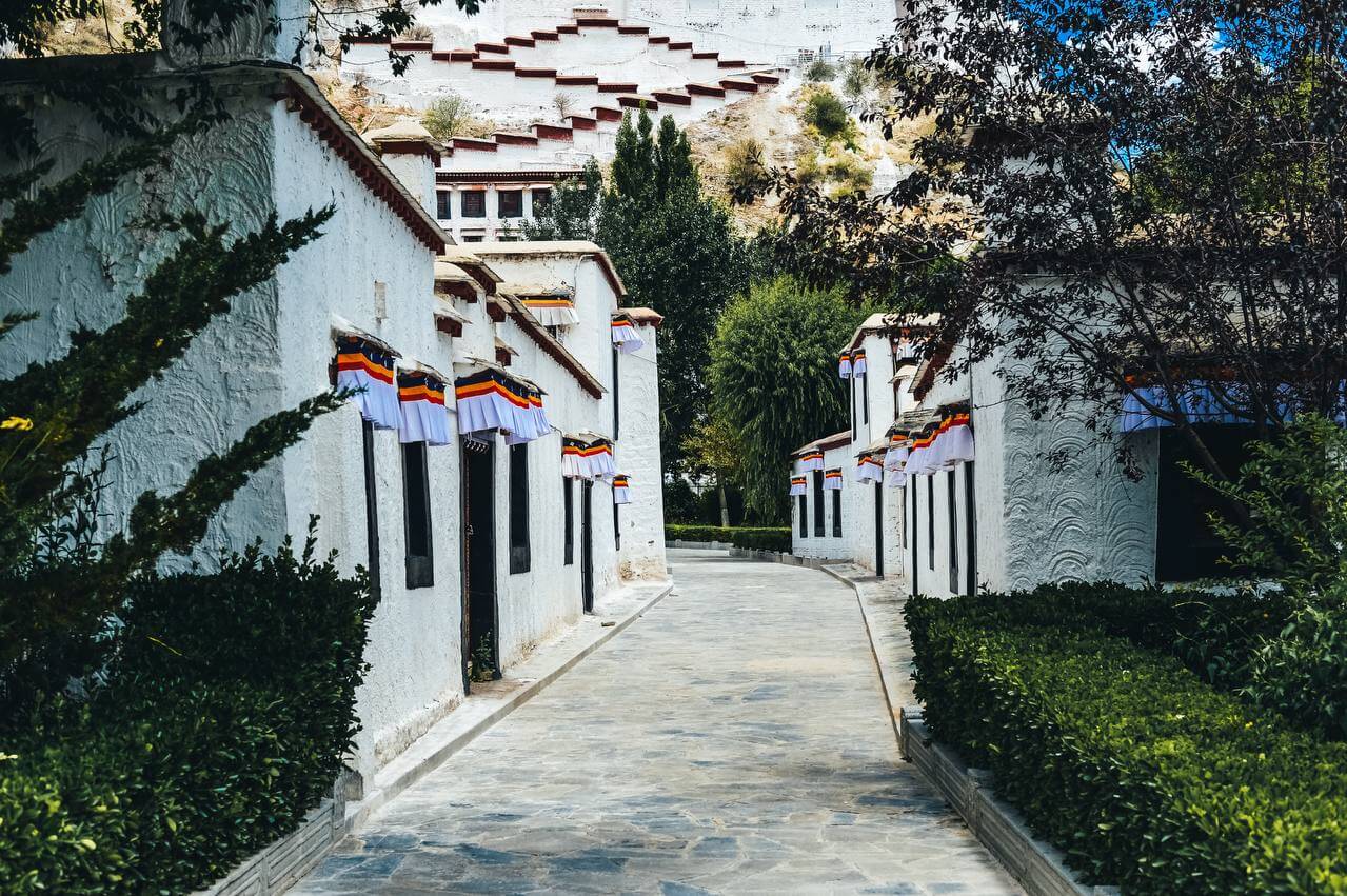 Тибет. Лхаса-Кайлаш. Тур с корой вокруг Кайлаша. Гид буддолог. Отели 4-5. (57/135)