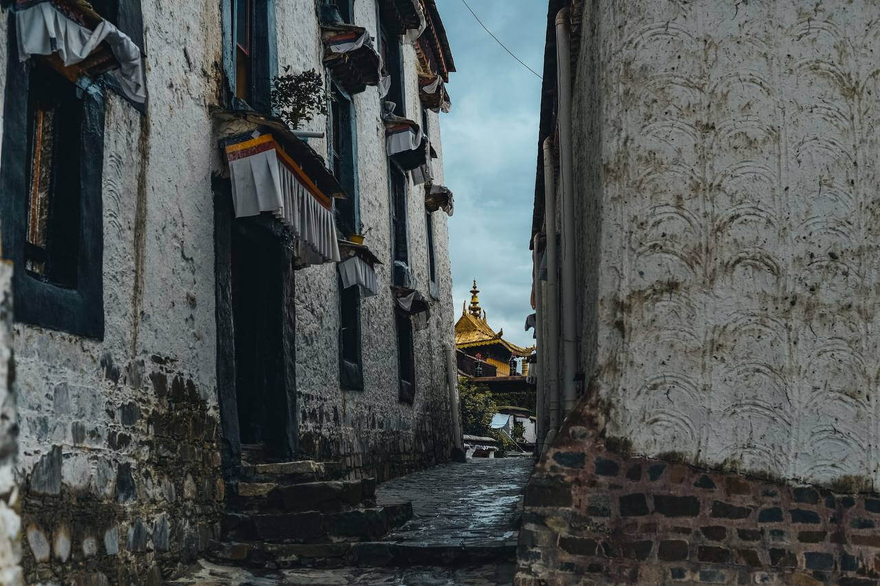 Тибет. Лхаса-Кайлаш. Тур с корой вокруг Кайлаша. Гид буддолог. Отели 4-5. (67/135)