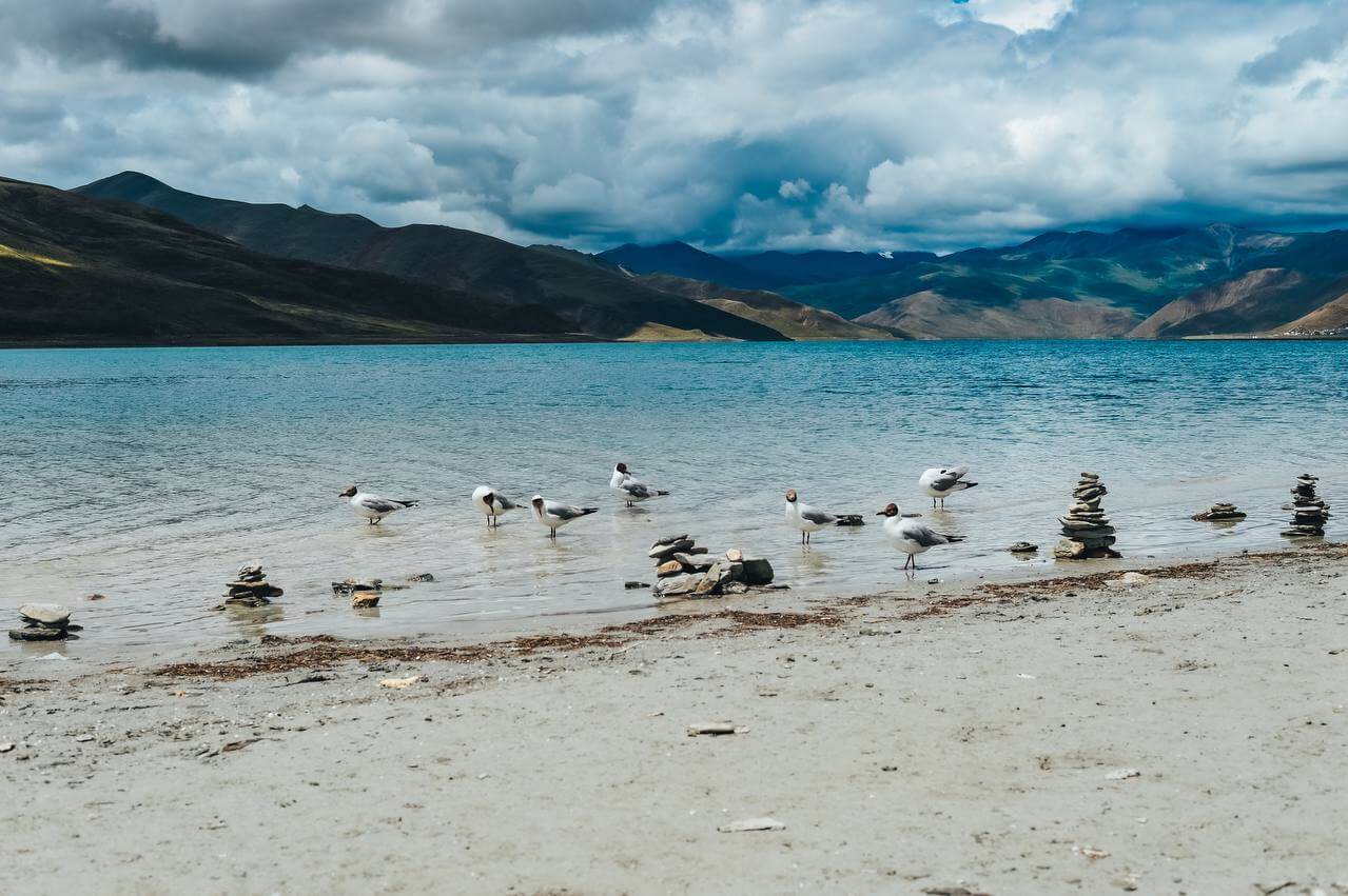 Тибет. Лхаса-Кайлаш. Тур с корой вокруг Кайлаша. Гид буддолог. Отели 4-5. (72/135)