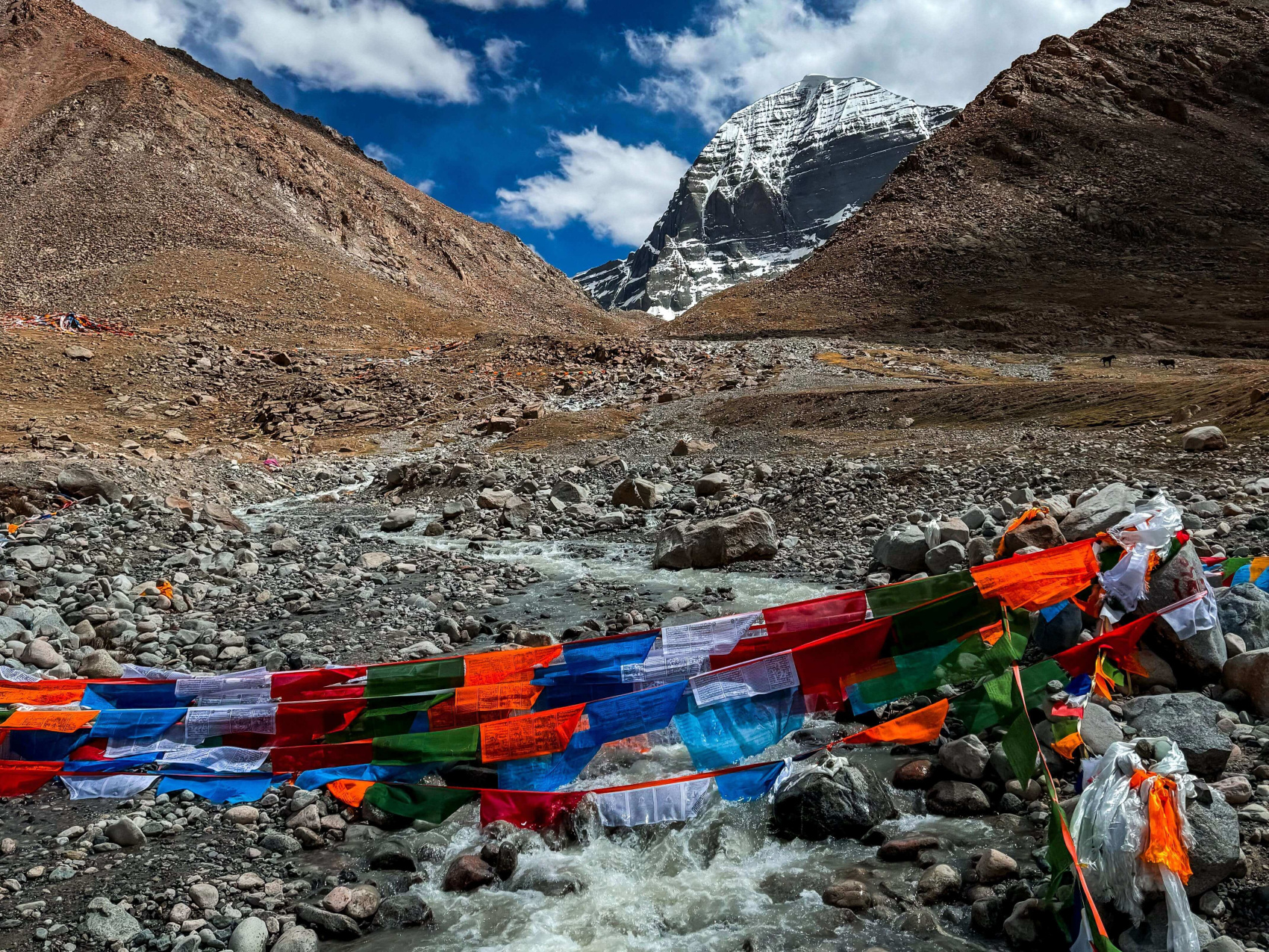 Тибет. Лхаса-Кайлаш. Тур с корой вокруг Кайлаша. Гид буддолог. Отели 4-5. (10/135)