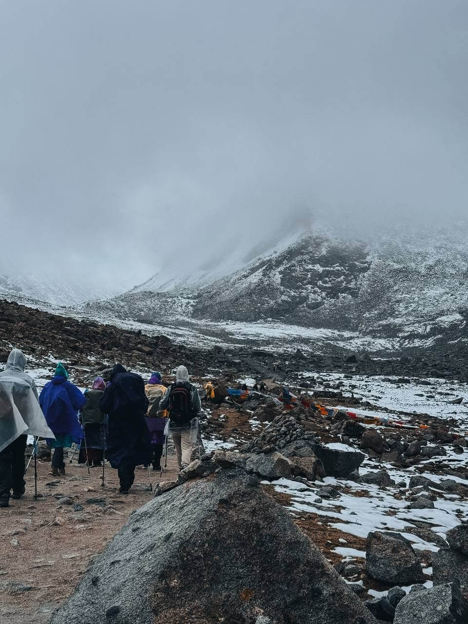 Тибет. Лхаса-Кайлаш. Тур с корой вокруг Кайлаша. Гид буддолог. Отели 4-5. (45/135)