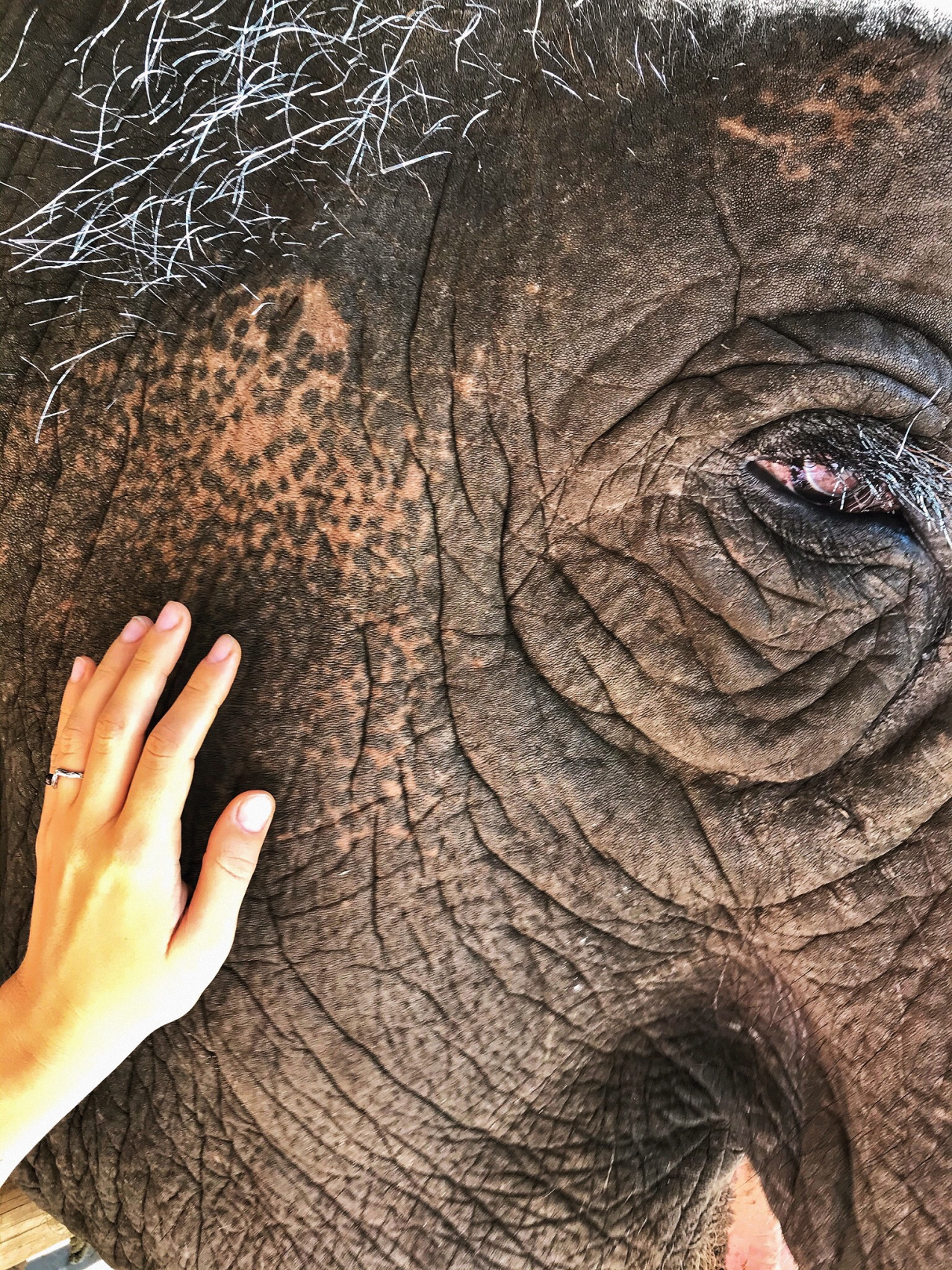 Мото/авто тур по экзотическому северу Таиланда (45/78)