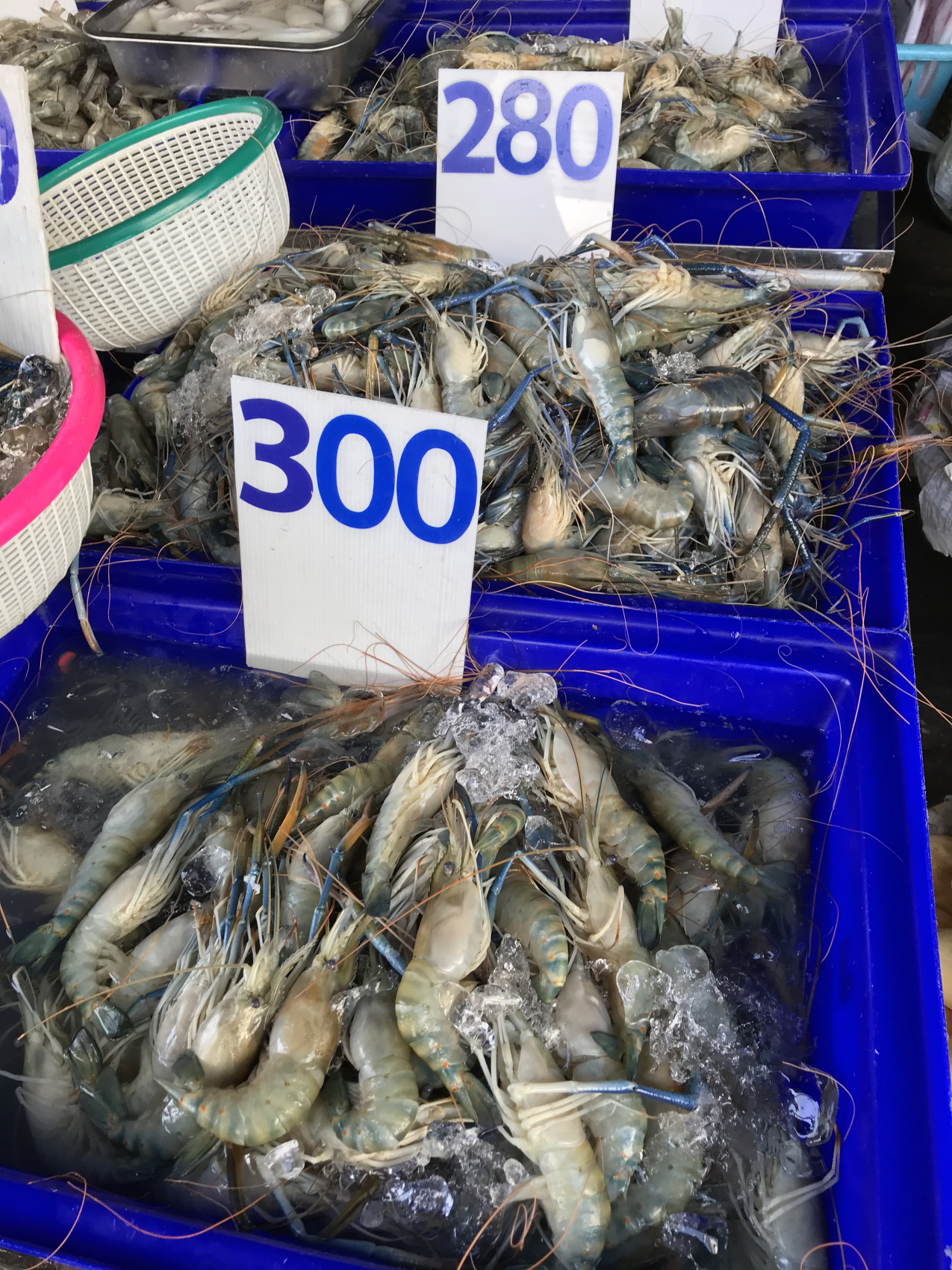 Мото/авто тур по экзотическому северу Таиланда (14/78)