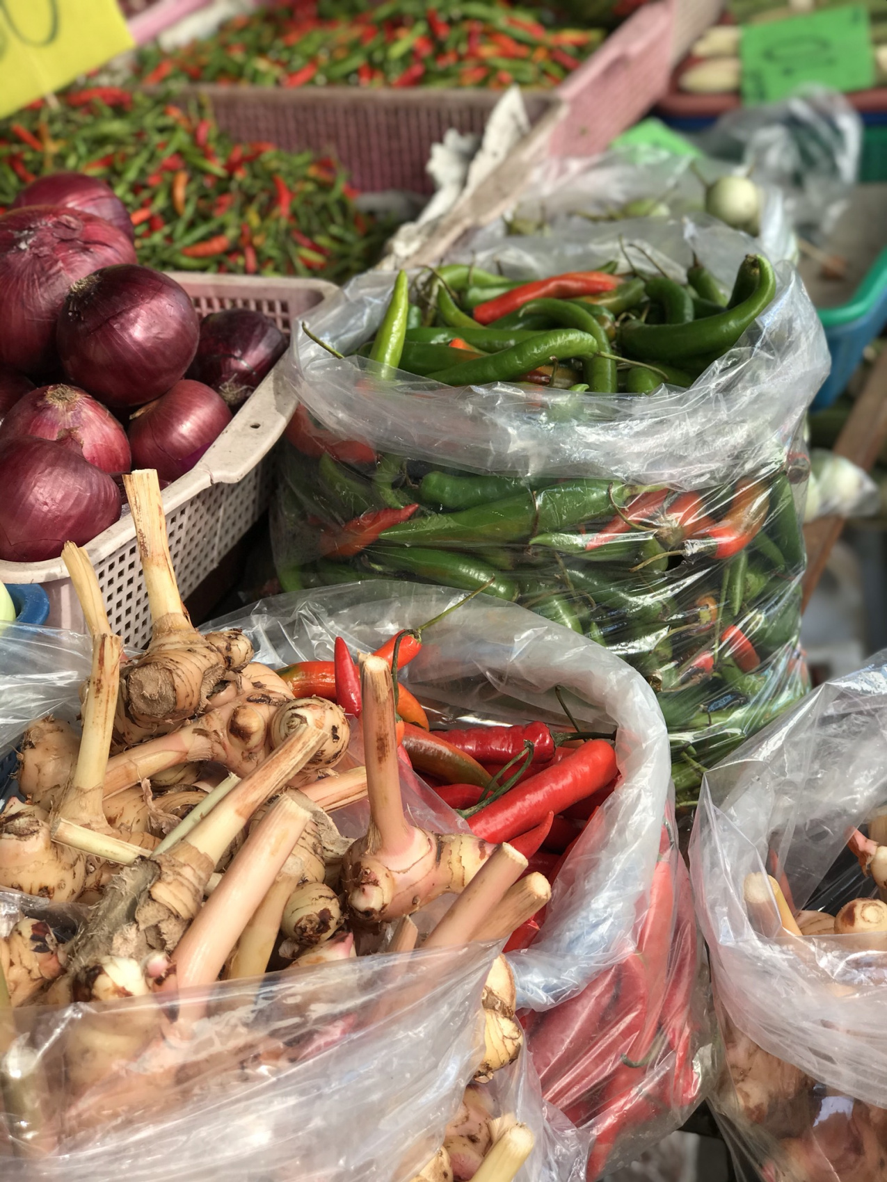 Мото/авто тур по экзотическому северу Таиланда (10/78)