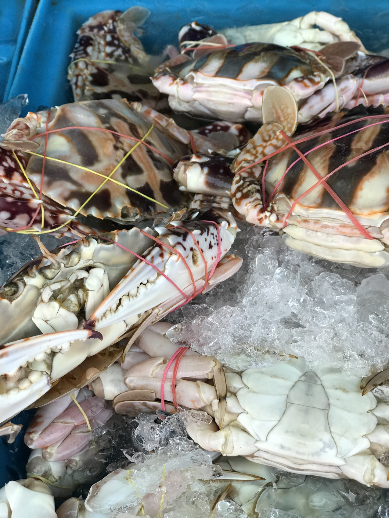 Мото/авто тур по экзотическому северу Таиланда (16/78)