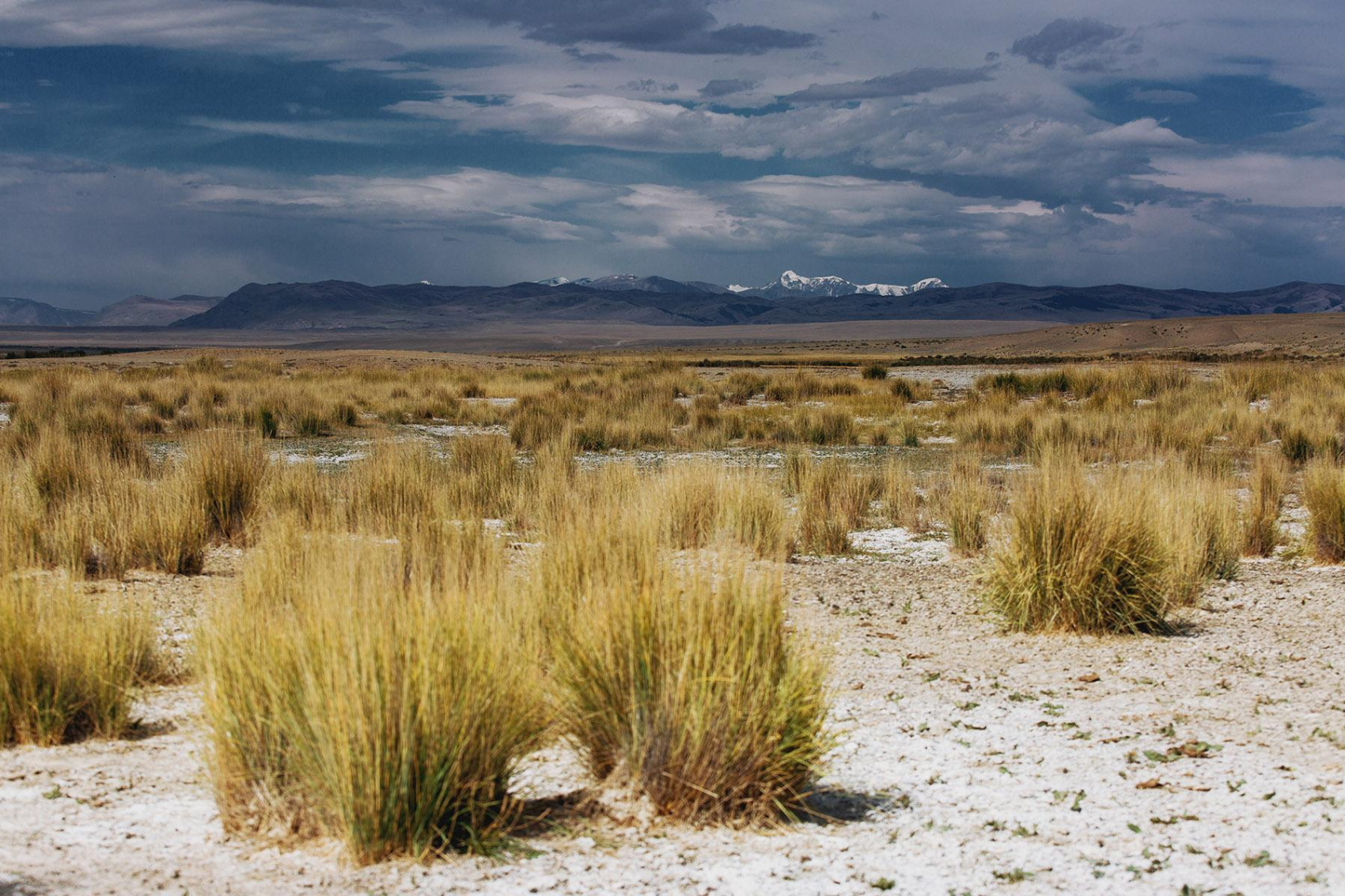 Таинственный Укок (8/18)