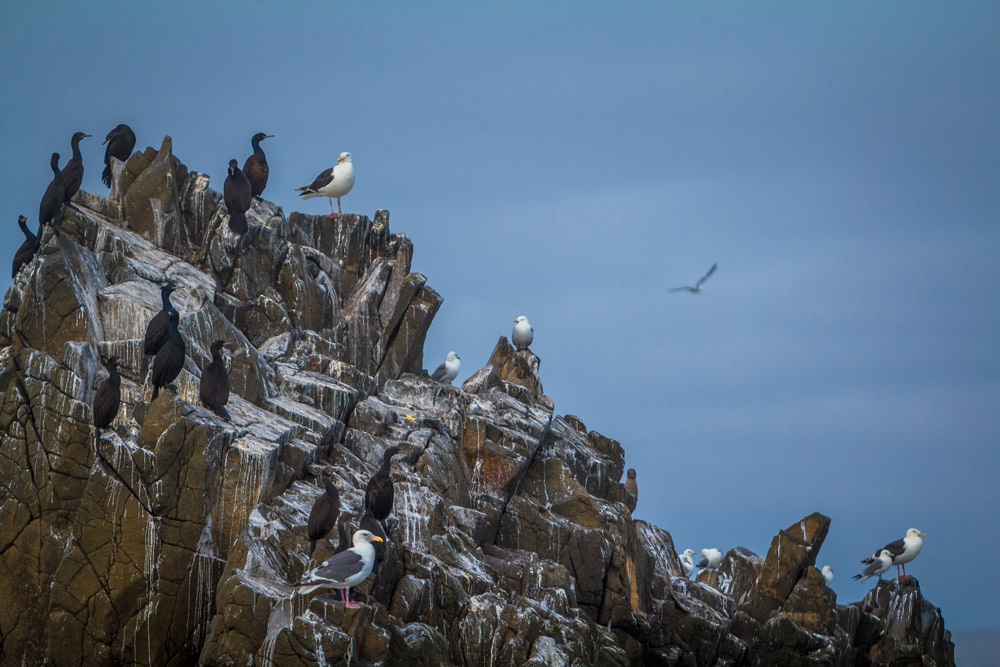 Фототур на Камчатку (6/69)