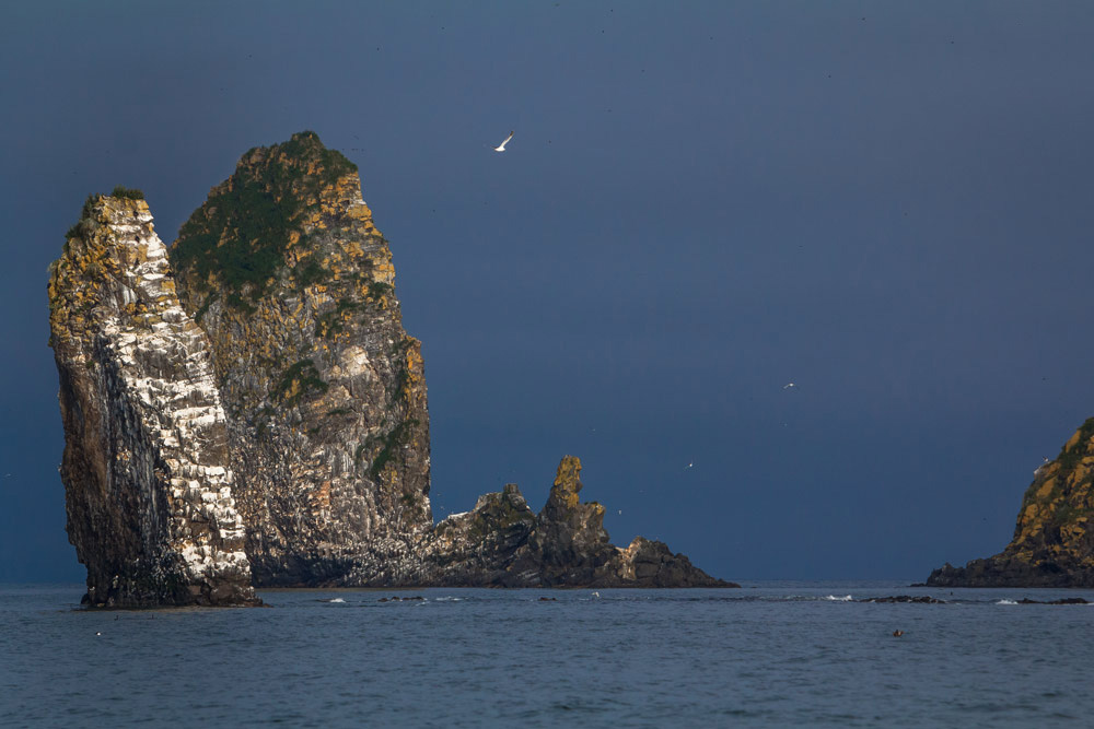 Фототур на Камчатку (32/69)