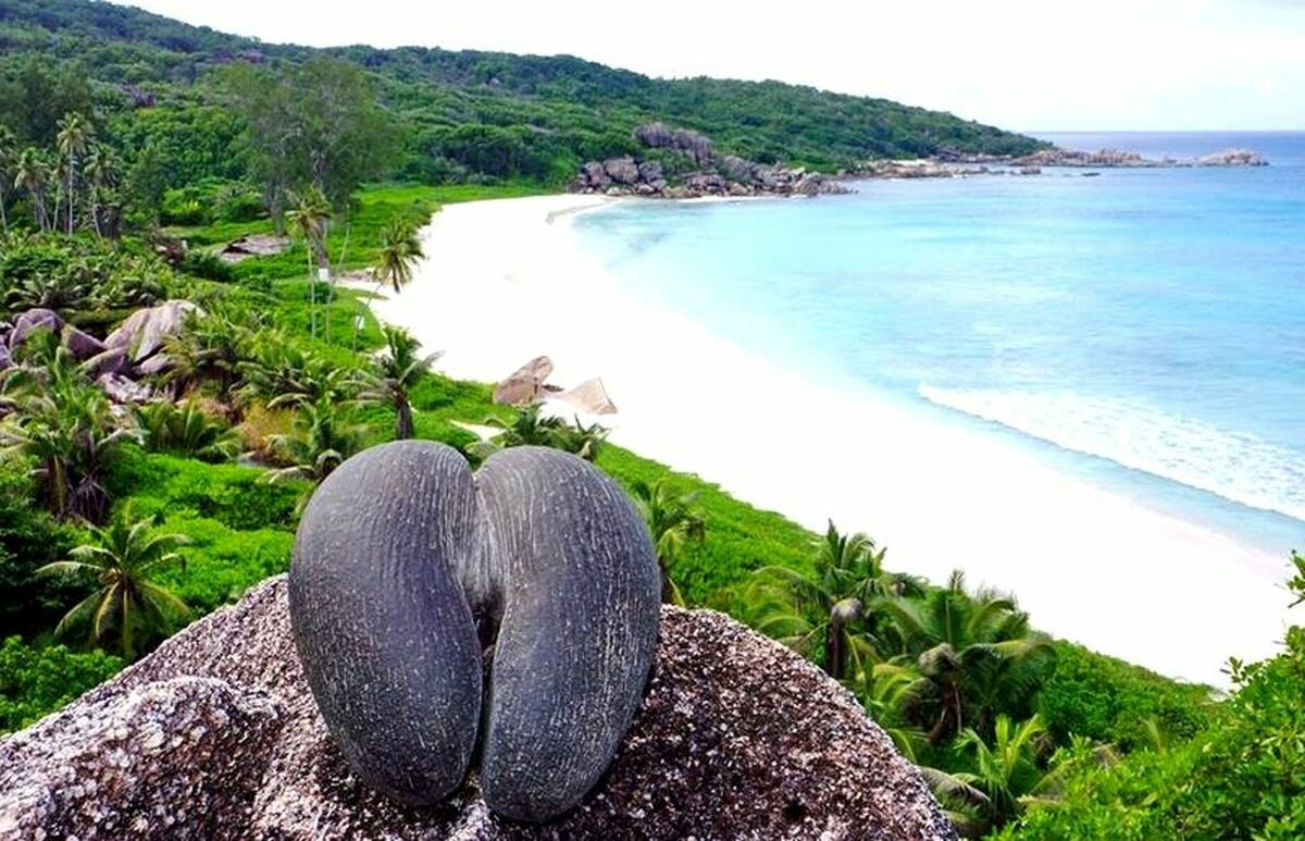 Сейшельские острова (10/50)