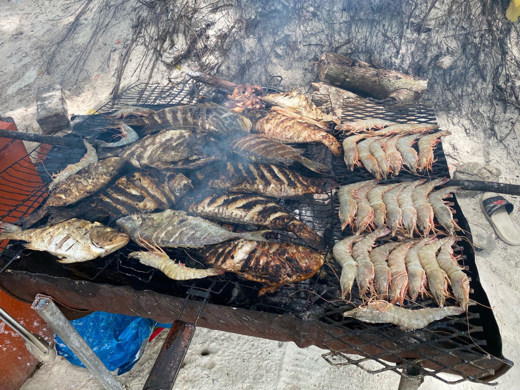 Сейшельские острова (17/50)