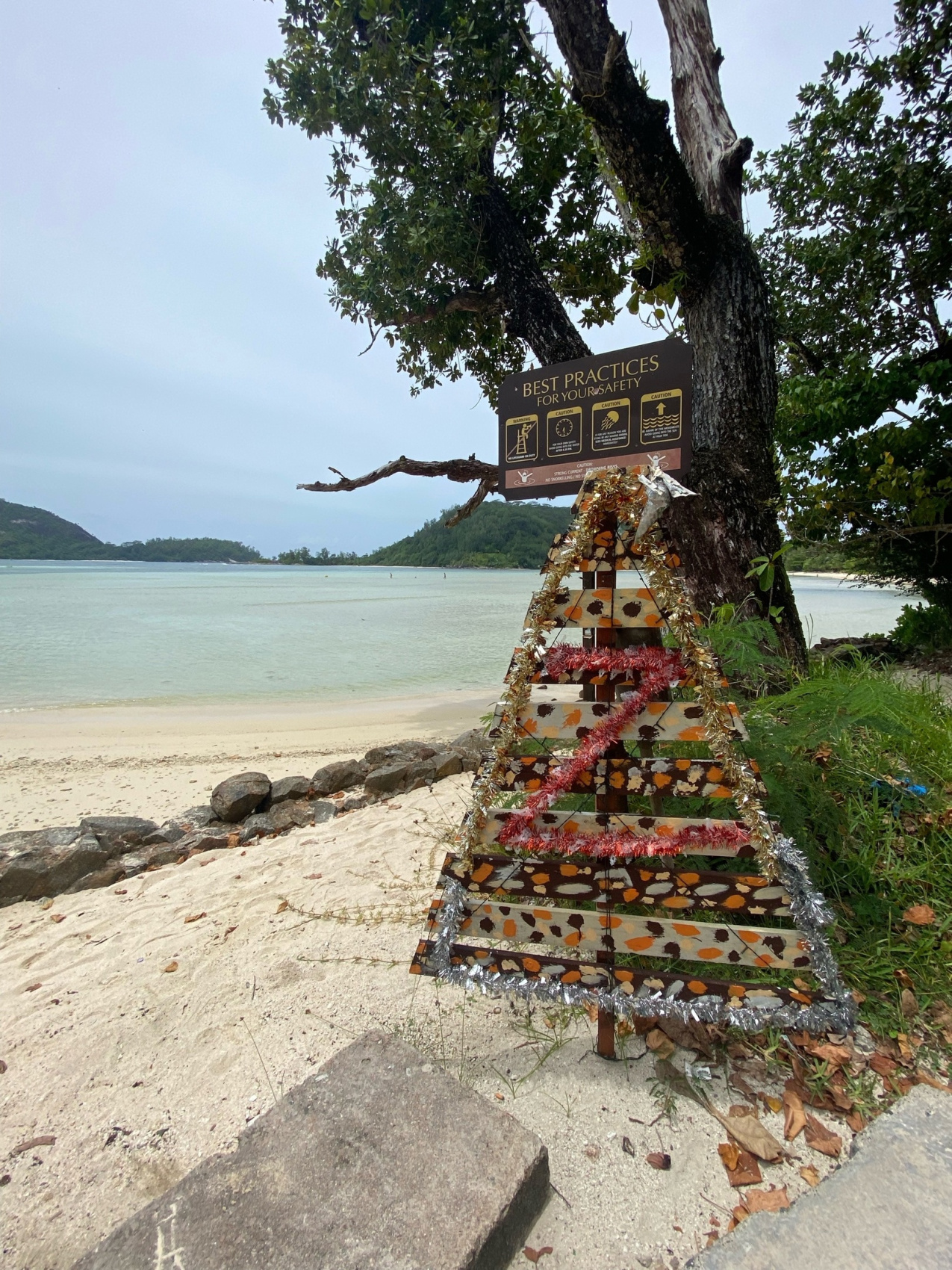 Сейшельские острова (29/50)