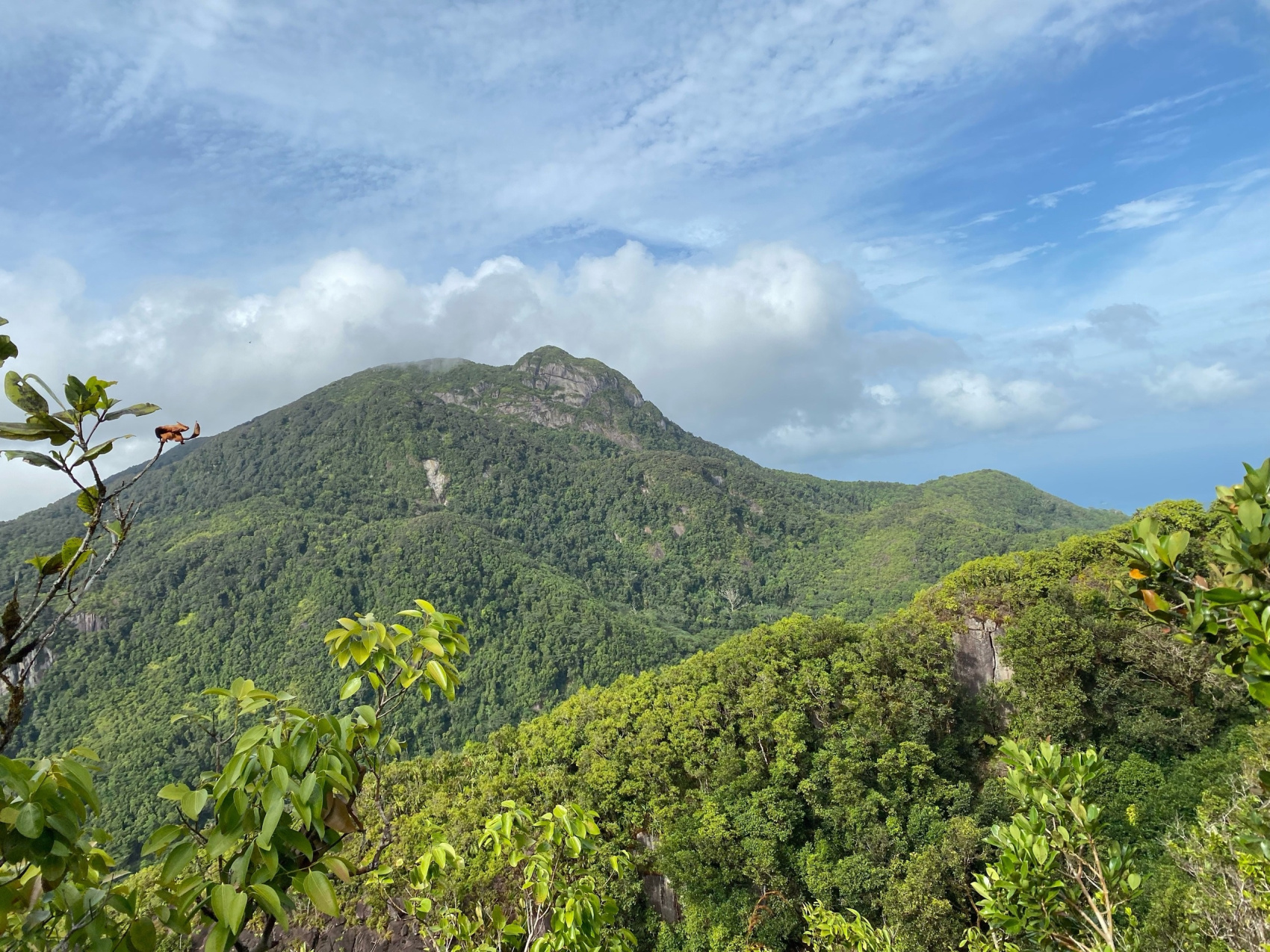 Сейшельские острова (28/50)
