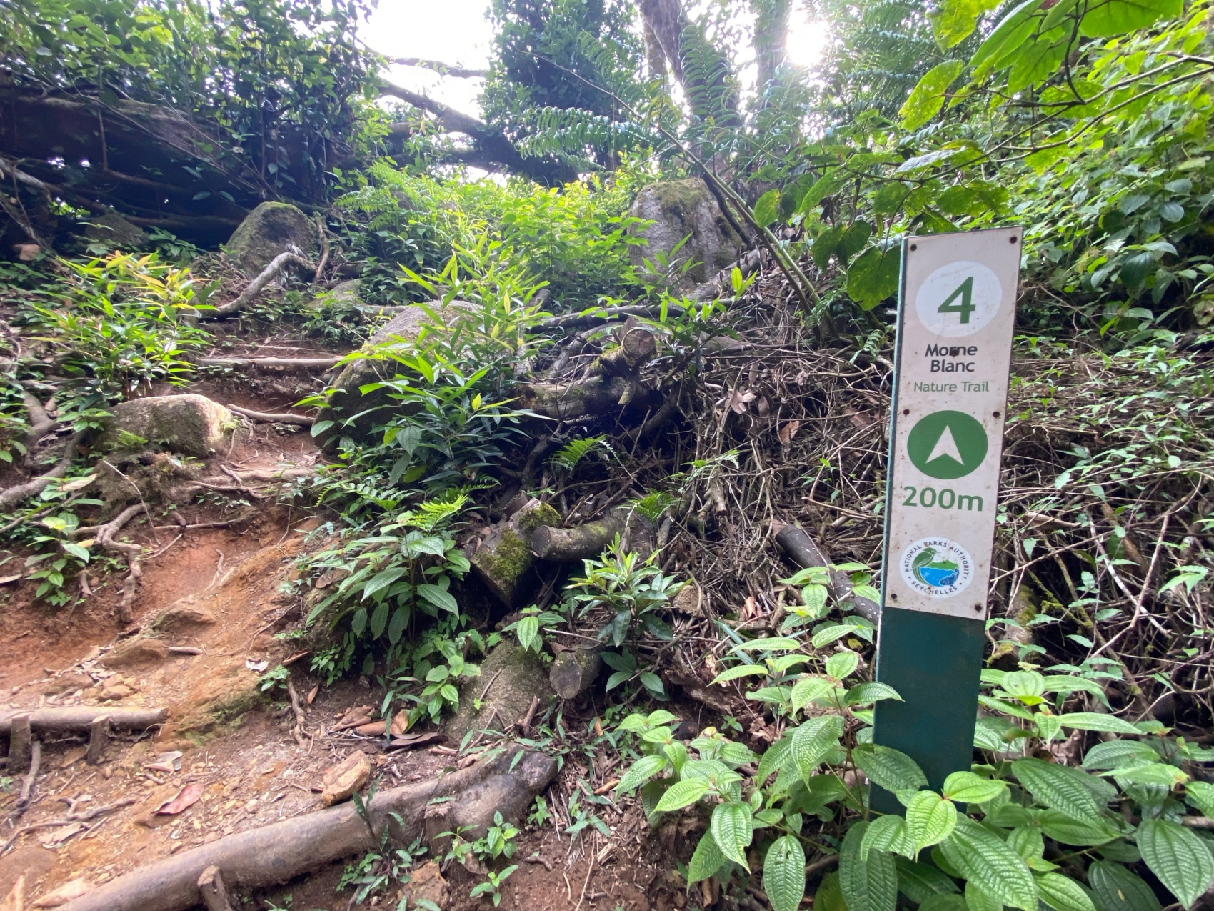 Сейшельские острова (31/50)