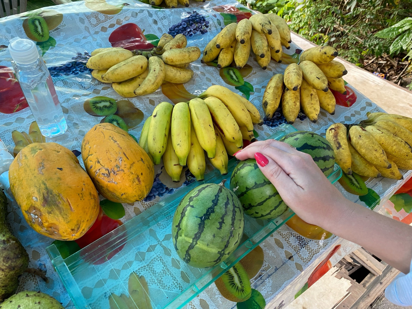 Сейшельские острова (27/50)