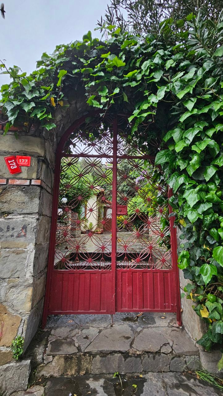 Стамбул о котором ты мечтала! (17/41)