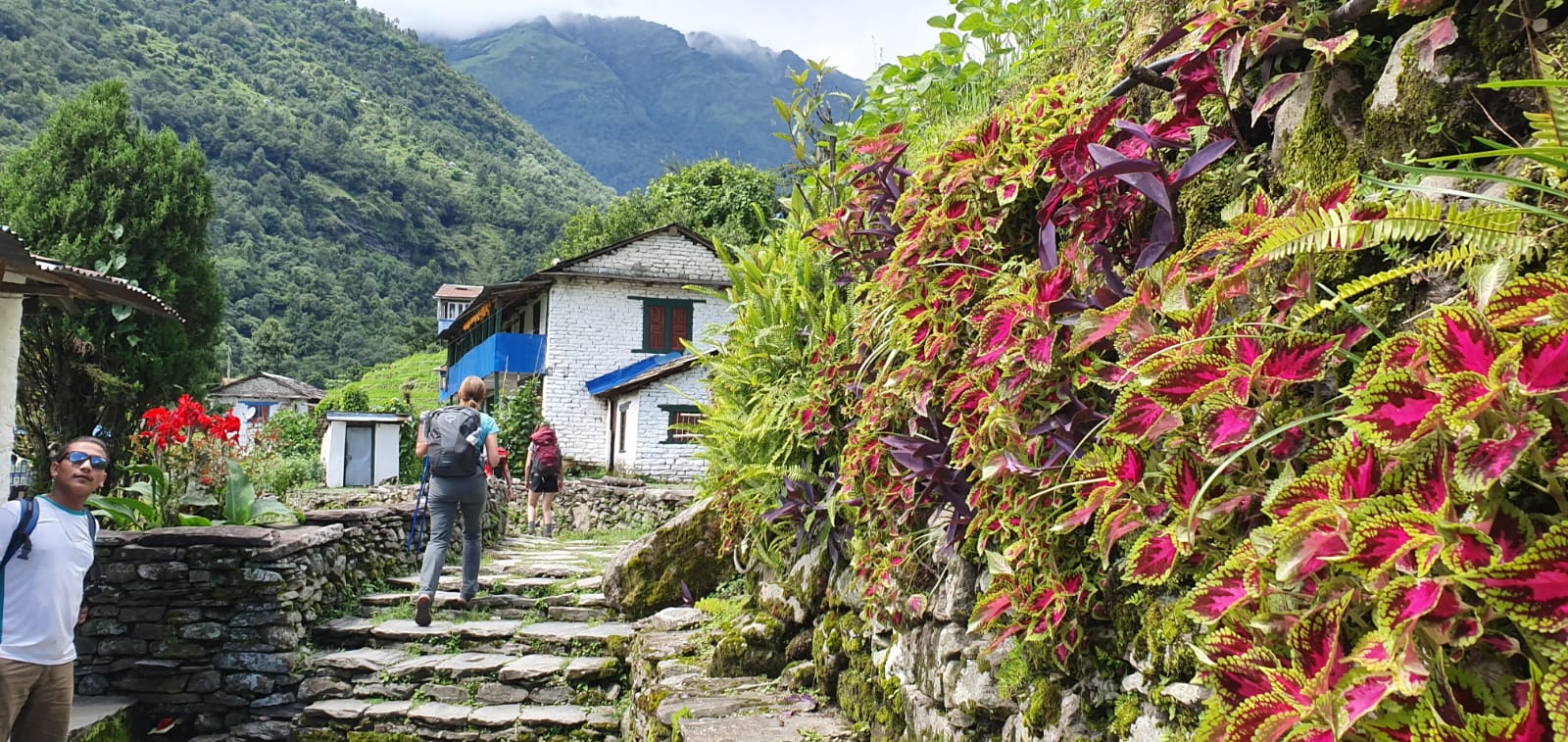 Поход на гору Горепани Пун (8/24)