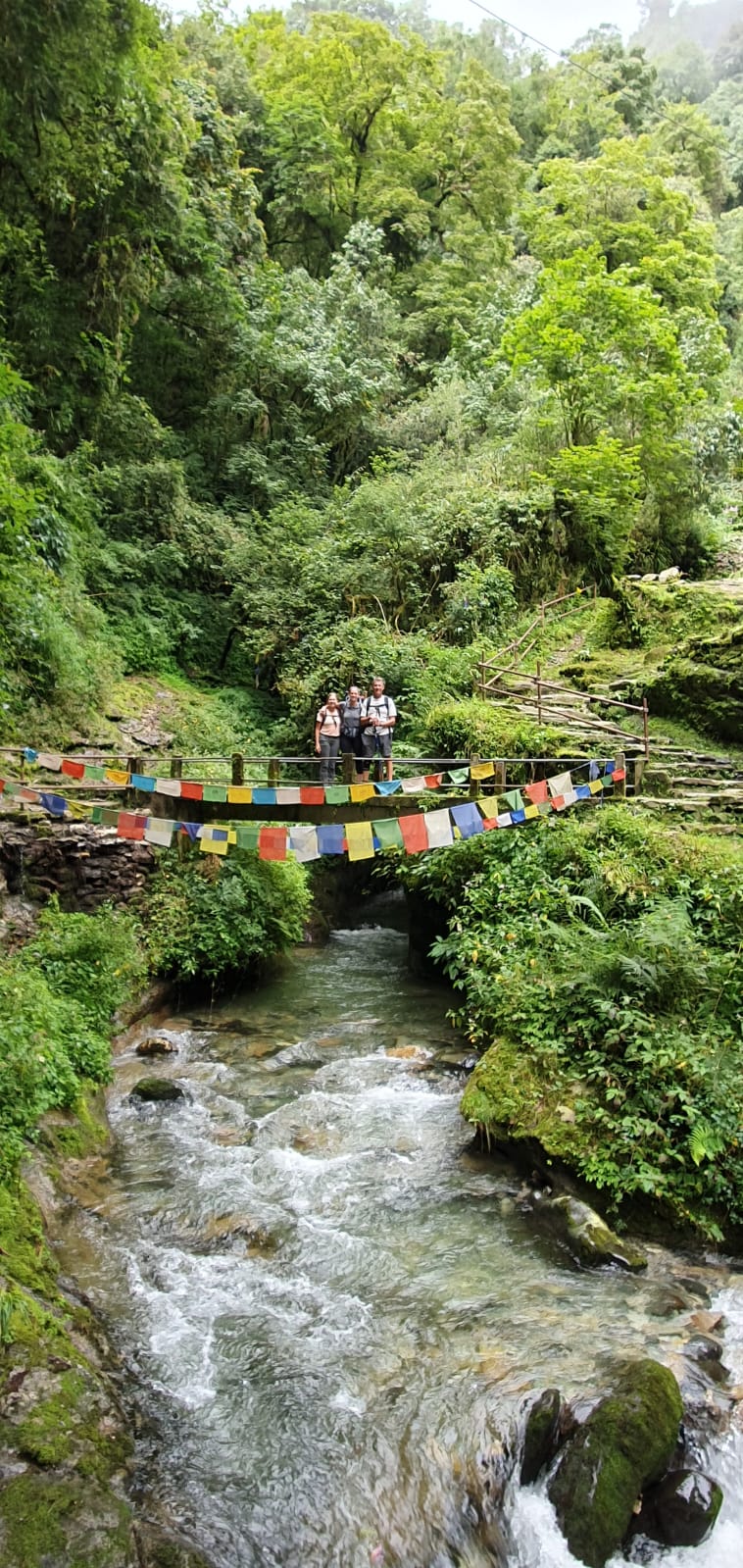 Поход на гору Горепани Пун (6/24)